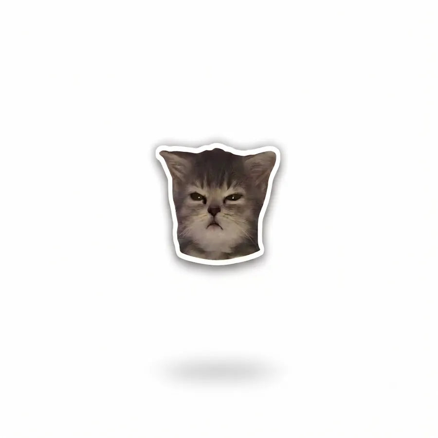 A die-cut sticker featuring a close-up photo of a gray tabby cat's face, shown on a plain white background with a soft drop shadow below.